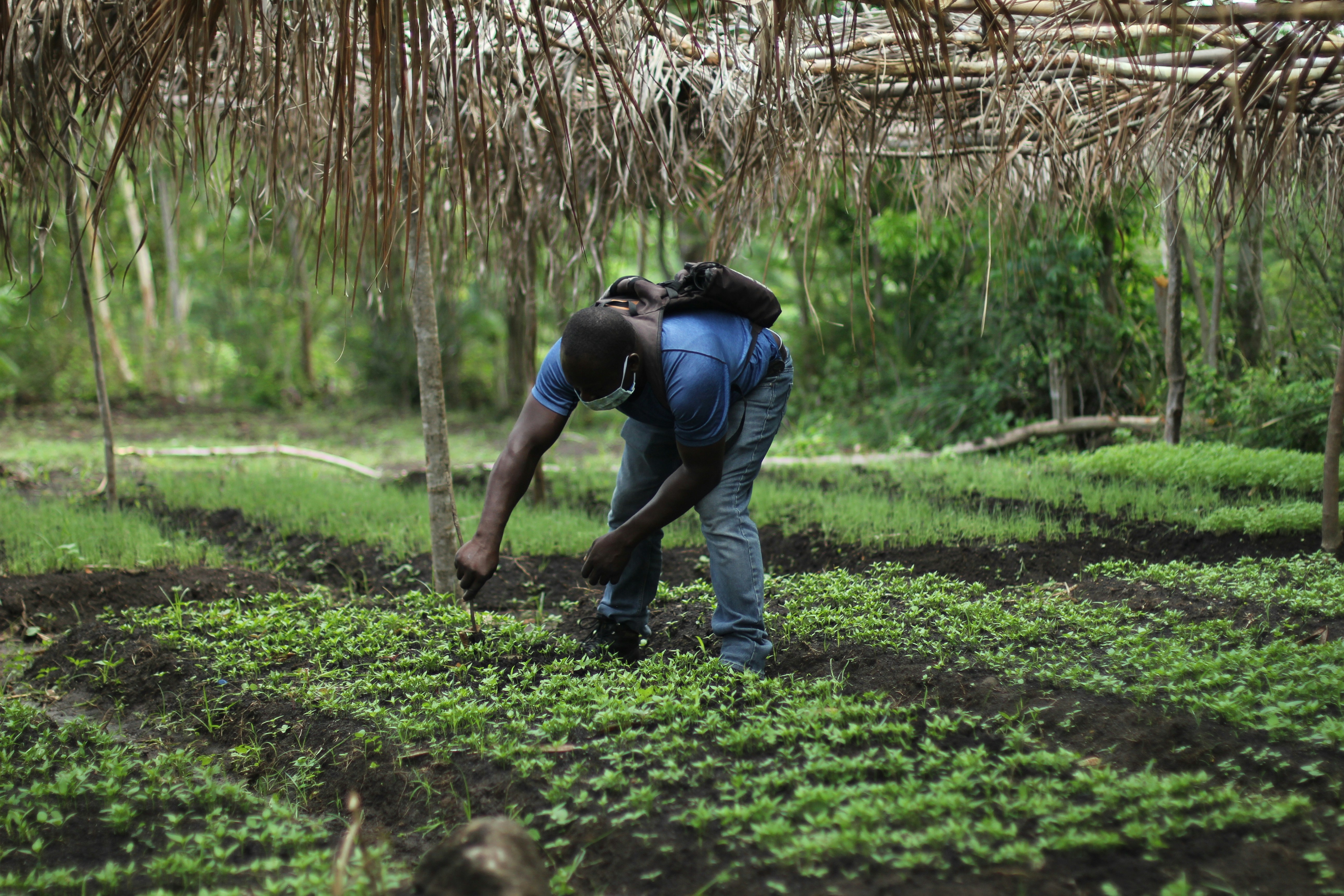 Atelier sur l'agriculture durable